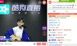 k91g直播间放的音乐,旋律与情感的交织之旅